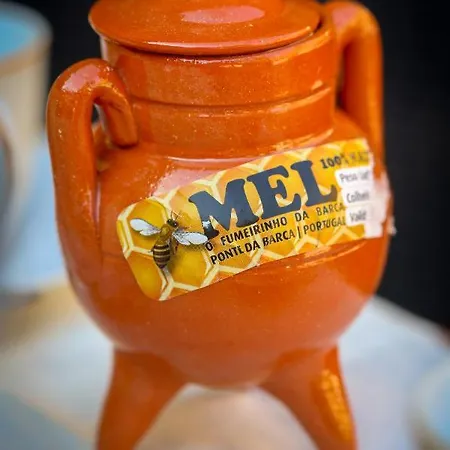 Tatil Evi Casa Afonsas