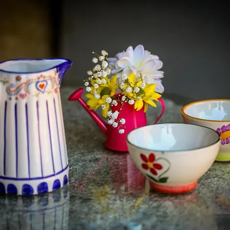 Tatil Evi Casa Afonsas Barral