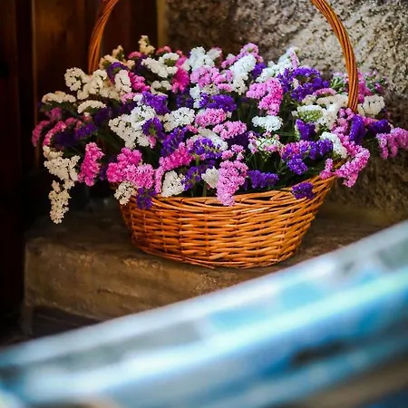 Tatil Evi Casa Afonsas